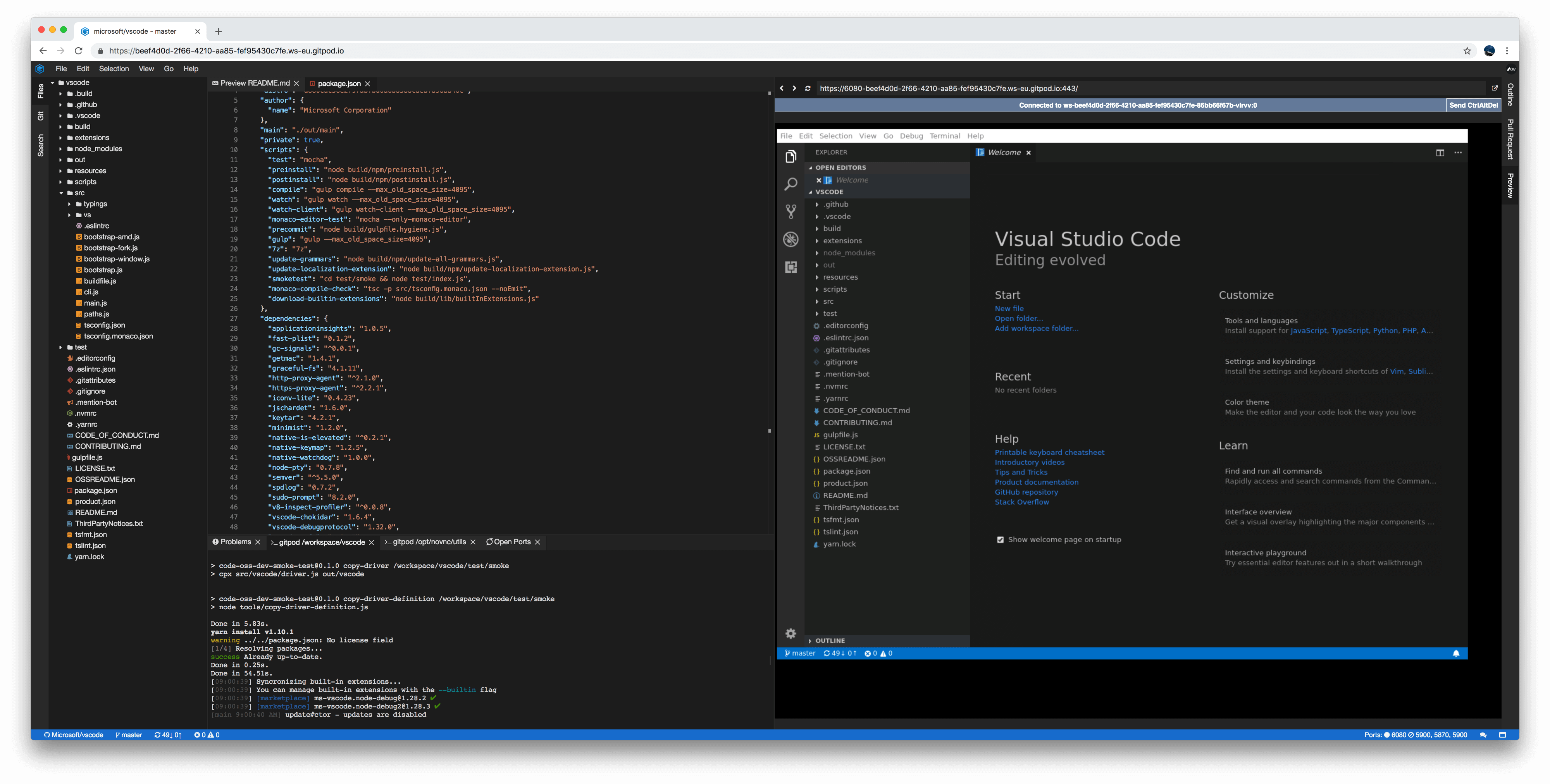 Virtual X server and Remote Desktop client running on port 6080