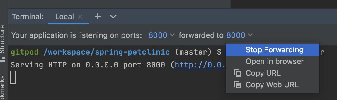 JetBrains Ports view in Terminal in Gitpod workspace